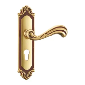 Handle Door