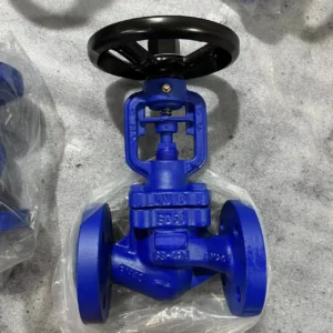 Bellows Globe Valve