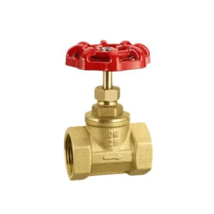 Brass Gate Valves female Thread Tap Water Valve Switch